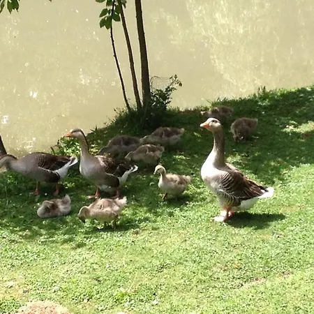 Le Petit Clos Prázdninový dům Baugé